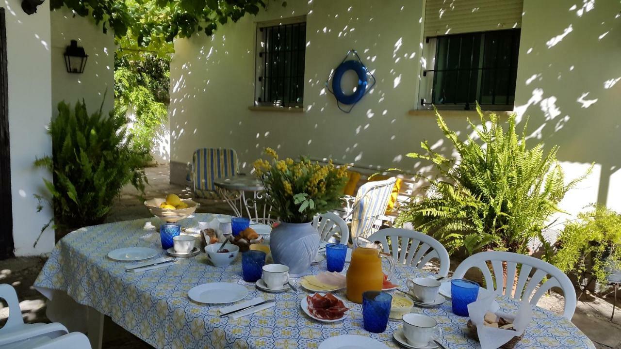 Chalet Junto Playa Y Centro Sanlúcar de Barrameda Zewnętrze zdjęcie